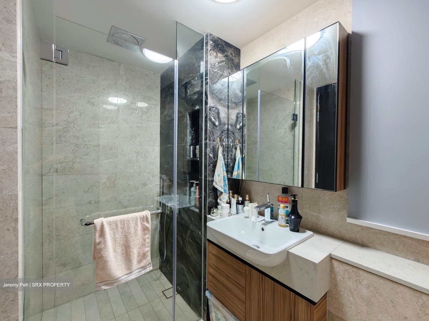 Pullman Residences Newton (D11), Apartment #495200101